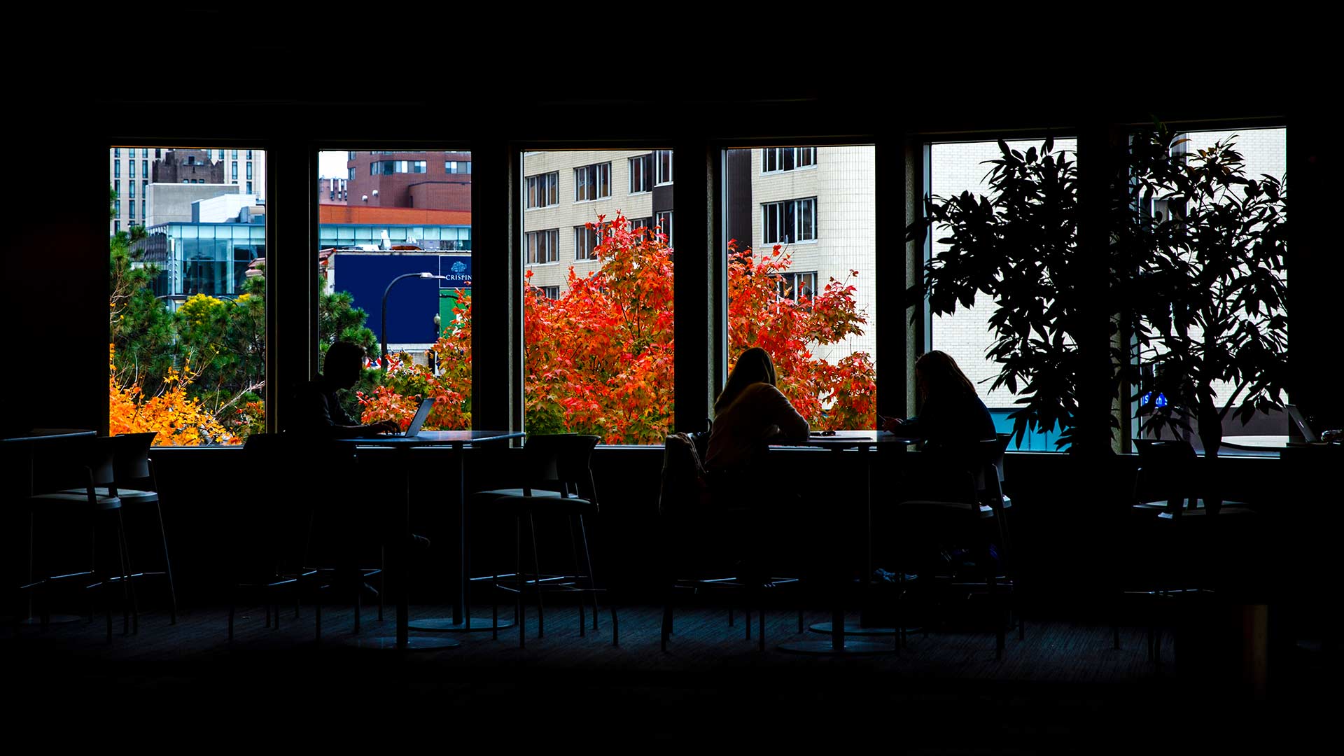 Students sitting and studying at the UST Minneapolis Campus, as Brit's Pub can be viewed from the window.