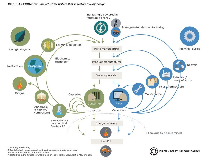 Ellen MacArthur Circular Economy Diagram