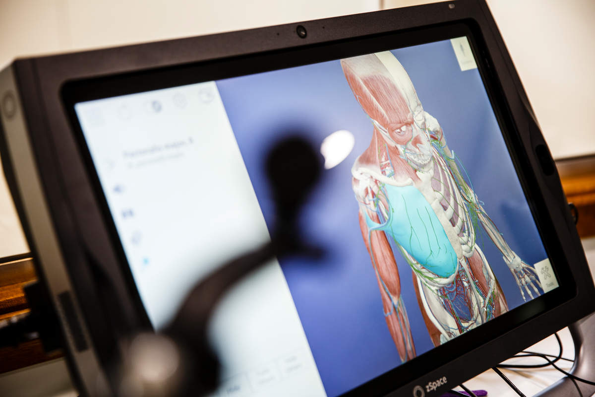 A computer screen displaying human anatomy