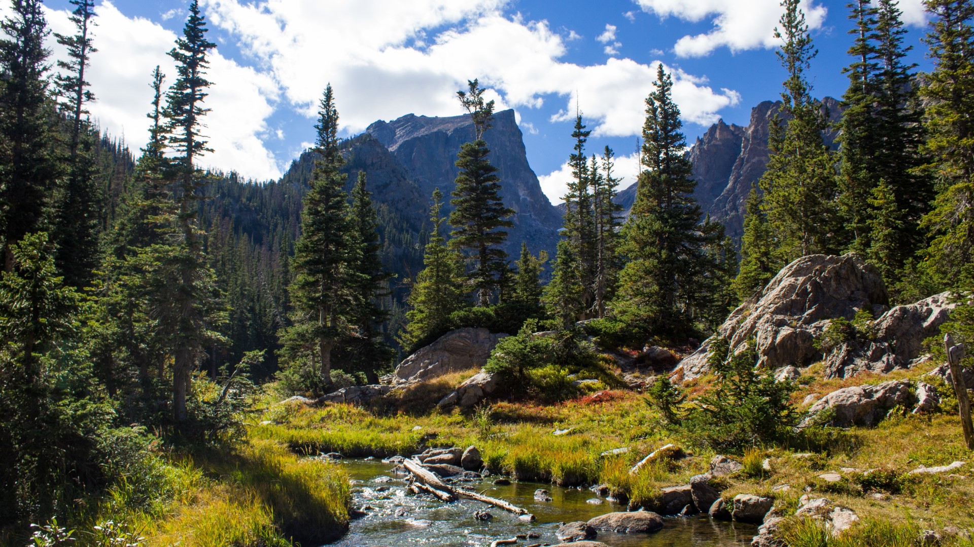 A man and a woman mountain biking in Colorado