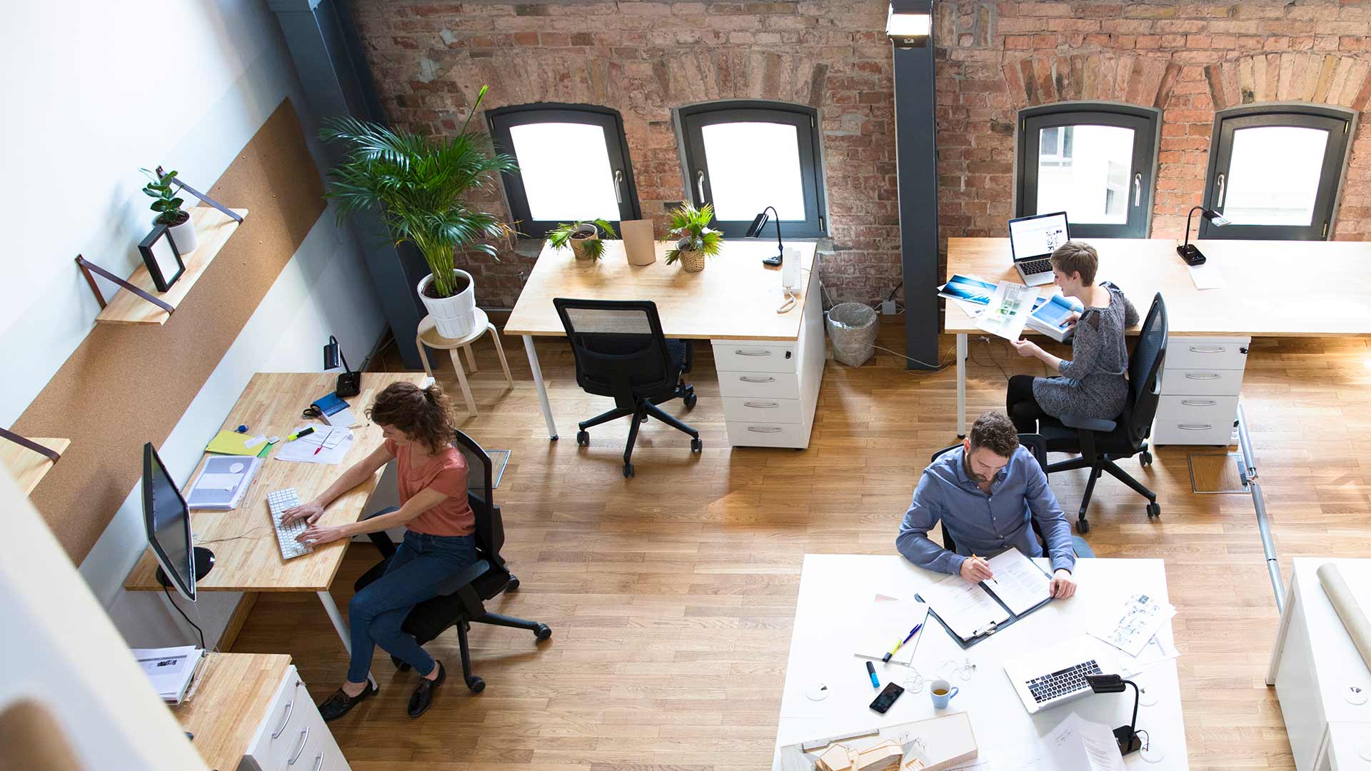 Colleagues working in modern office space.
