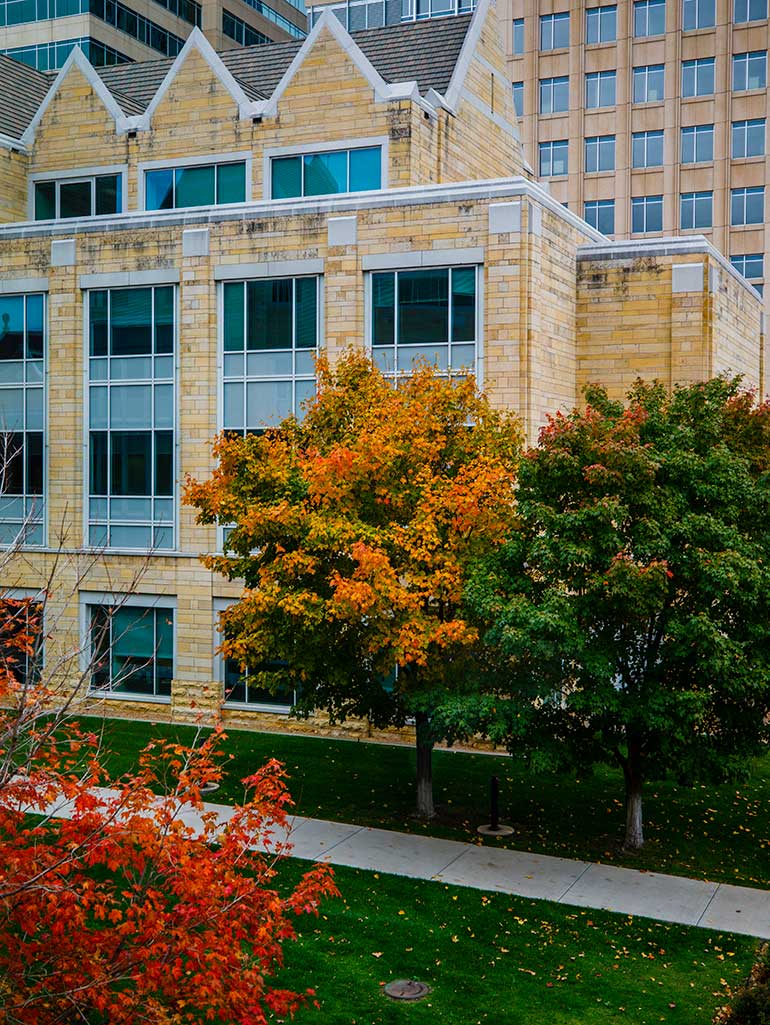Terrence Murphy Hall is seen past leaves covered in fall foliage.