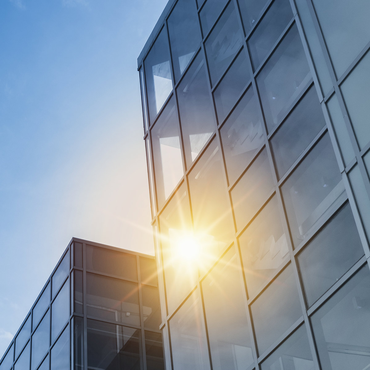 Glass walled buildings with the sun shining through them. 