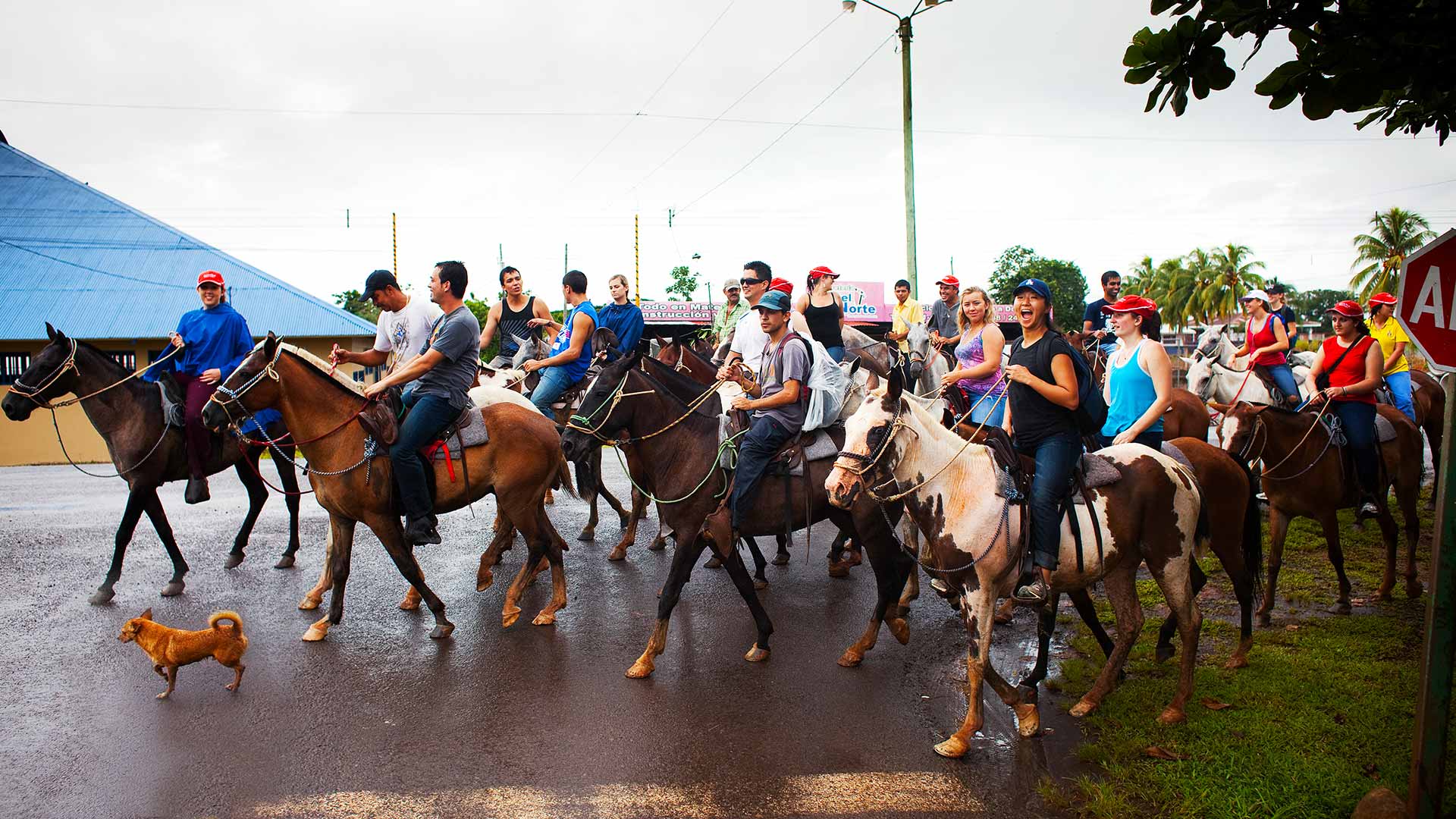 Students abroad ride horses through a Costa Rican town.